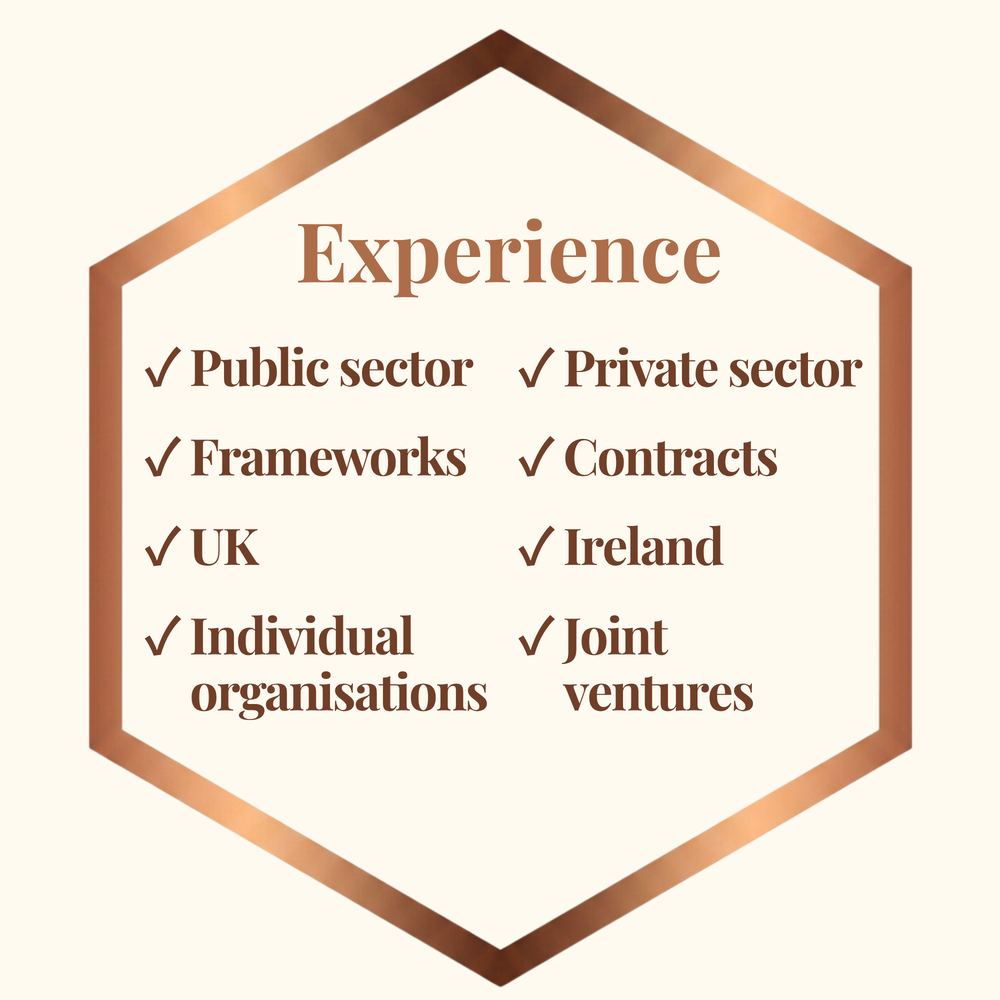 Experience across public and private sectors, frameworks and contracts, the UK and Ireland, and individual organisations and joint ventures
